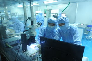 美迪西 分子生物學(xué)與生物技術(shù)開發(fā)服務(wù)，驅(qū)動創(chuàng)新藥物研發(fā)